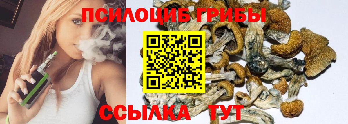 Галлюциногенные грибы мухоморы Комсомольск-на-Амуре